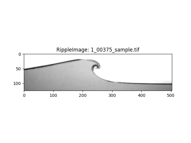 RippleImage: 1_00375_sample.tif